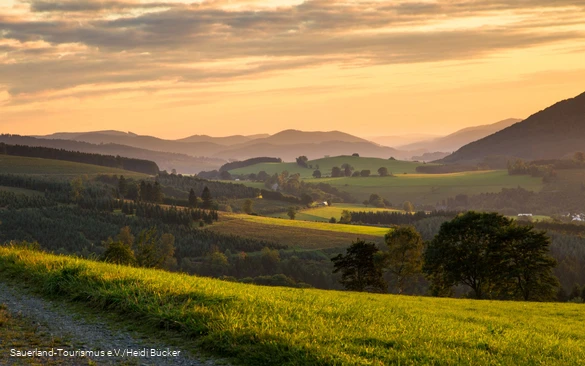 Abenstimmung im Sauerland