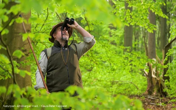 Rangerführung durch den Wald am Sauerland-Höhenflug