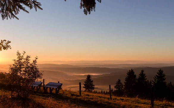 Kalied Sonnenaufgang_Kerstin Berens_Kopf.jpg