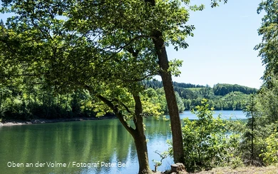 Blick über die Jubachtalsperre