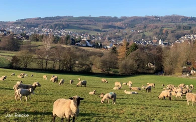 Blick auf Neuenrade