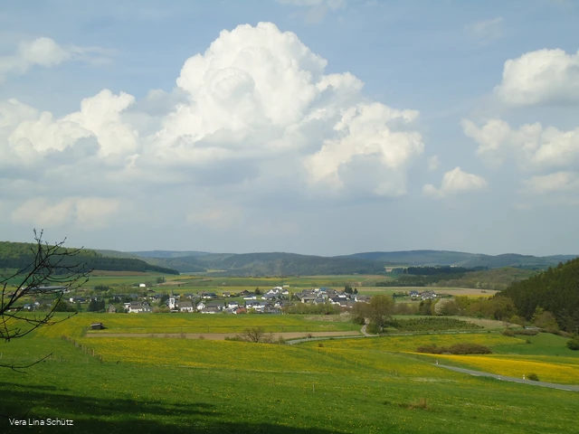 Ausblick in die Medebacher Bucht