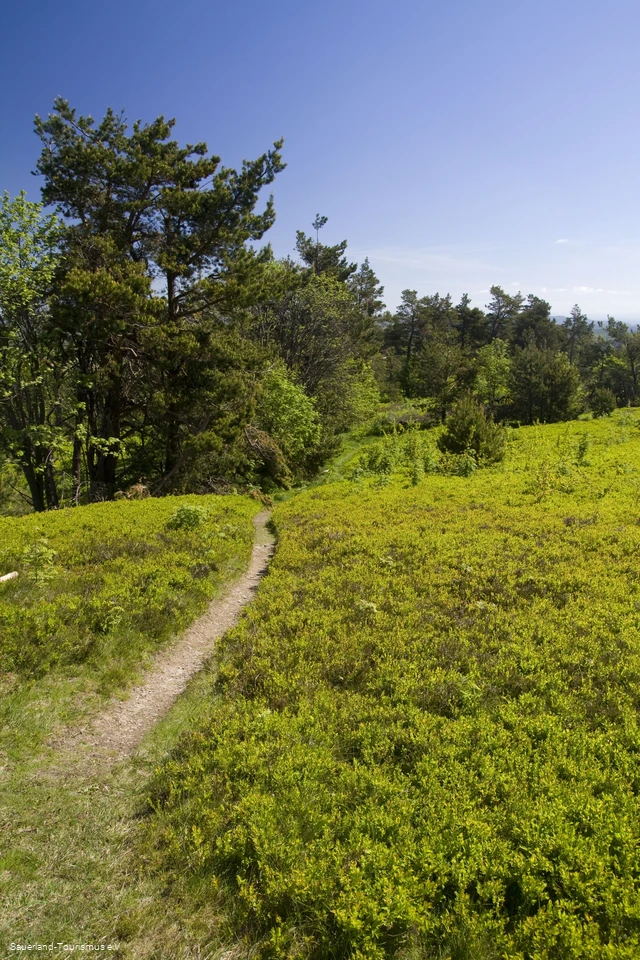 Der Sauerland-Höhenflug bei Düdinghausen