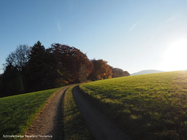 Wanderweg oberhalb von Niedersorpe