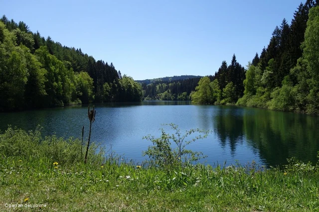 Blick vom Ufer über die Genkeltalsperre